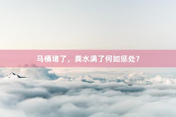 马桶堵了，粪水满了何如惩处？