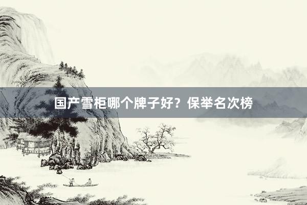 国产雪柜哪个牌子好？保举名次榜